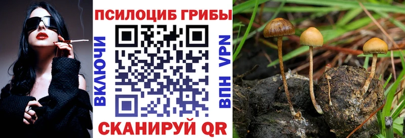 Галлюциногенные грибы GOLDEN TEACHER  блэк спрут   Уварово 